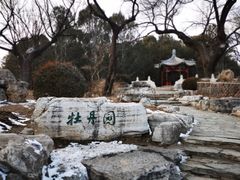 -红楼梦邮局