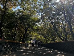 -沈阳市东陵公园