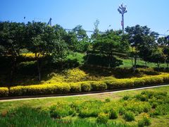 -安宁市宁湖森林公园