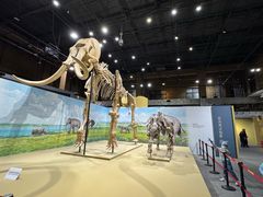 -国家自然博物馆