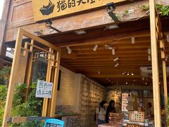 -猫的天空之城概念书店(丽江古城饮玉巷店)