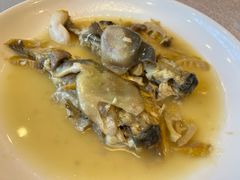 -孔庆璞河豚馆(白玉兰酒店)