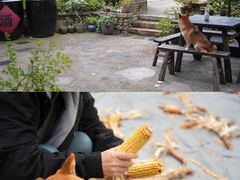 -乌村