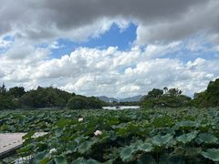 -江心屿景区