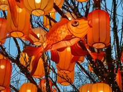 -龙湖星悦荟(颐和店)