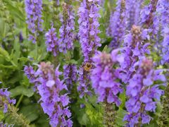 -汉长安城未央宫国家考古遗址公园