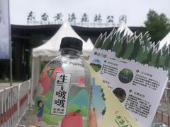 -黄海国家森林公园