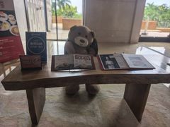 -三亚海棠湾万丽度假酒店