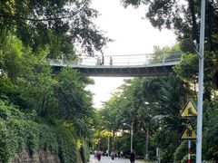 -仙岳公园