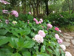 -共青国家森林公园-售票处