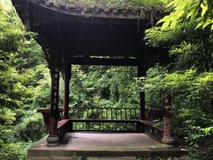 -凤栖山