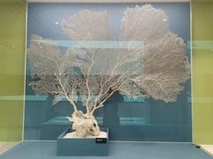 -中国湿地博物馆