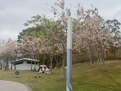 -白石龙音乐公园