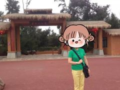 -北海金海湾红树林生态旅游区