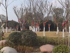 -府河摄影公园