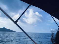 -广东惠东海龟国家级自然保护区