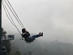 -梦幻奥陶纪景区