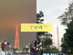 -百万葵园
