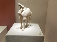 -宁夏博物馆