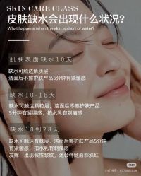 点击看大图 -玛莲朵·海菲秀冰珀科