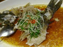 -森谷美食公园(杨行店)