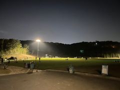 -羊山湖公园
