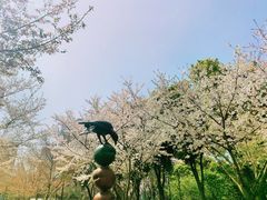 -静安雕塑公园