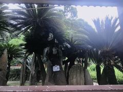 -房湖公园