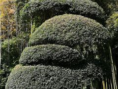 -苏州河梦清园环保主题公园