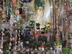 -循礼门鲜花花市(武汉循礼门店)