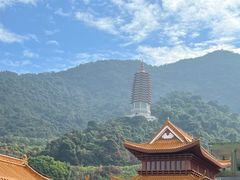 -深圳仙湖植物园