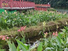 -广州市石门国家森林公园
