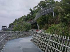 -福道