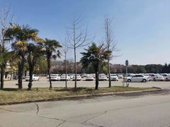 -胜华驾校·小猫学车(银都店)