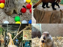 -海合安武汉极地海洋公园