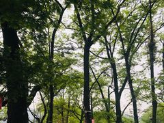 -寨沙侗寨(侗族歌堂)
