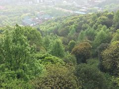 -岳麓山风景名胜区