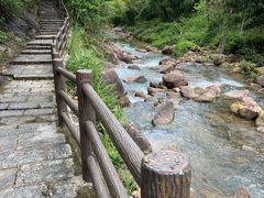 -广州白江湖森林公园