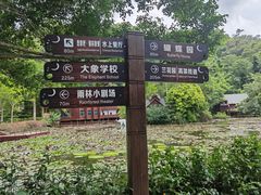 -西双版纳原始森林公园