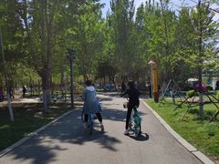 -长白岛森林公园