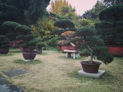 -水绘园