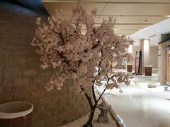 -嘉悦汗蒸时代(曙光路店)