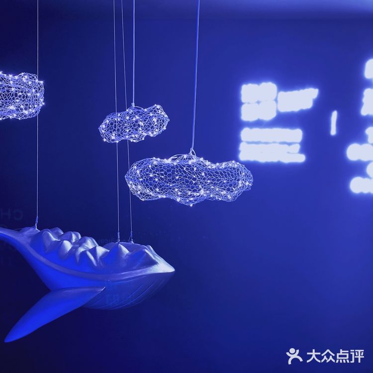 海口打卡| 免费看展！💙