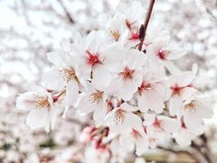 -西太湖揽月湾