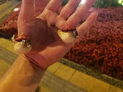 -肆月河豚·新淮扬(金融街店)