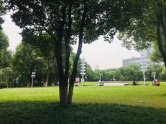 -重庆市江北嘴中央商务区中央公园