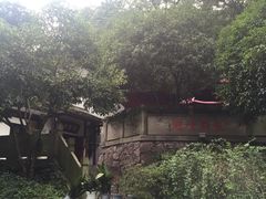 -龙井壹号·茶缘山景宴(龙井村店)