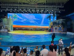 -三亚海昌梦幻海洋不夜城