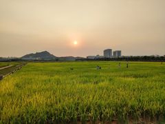 -光明小镇欢乐田园