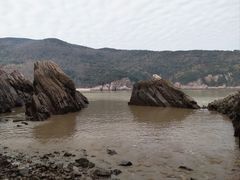 -花岙岛